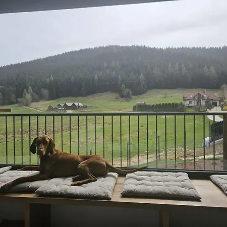Szlak By Trafil Casa de Férias